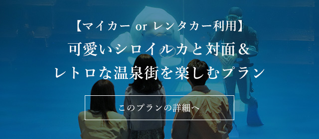 【マイカー or レンタカー利用】可愛いシロイルカと対面＆レトロな温泉街を楽しむプラン