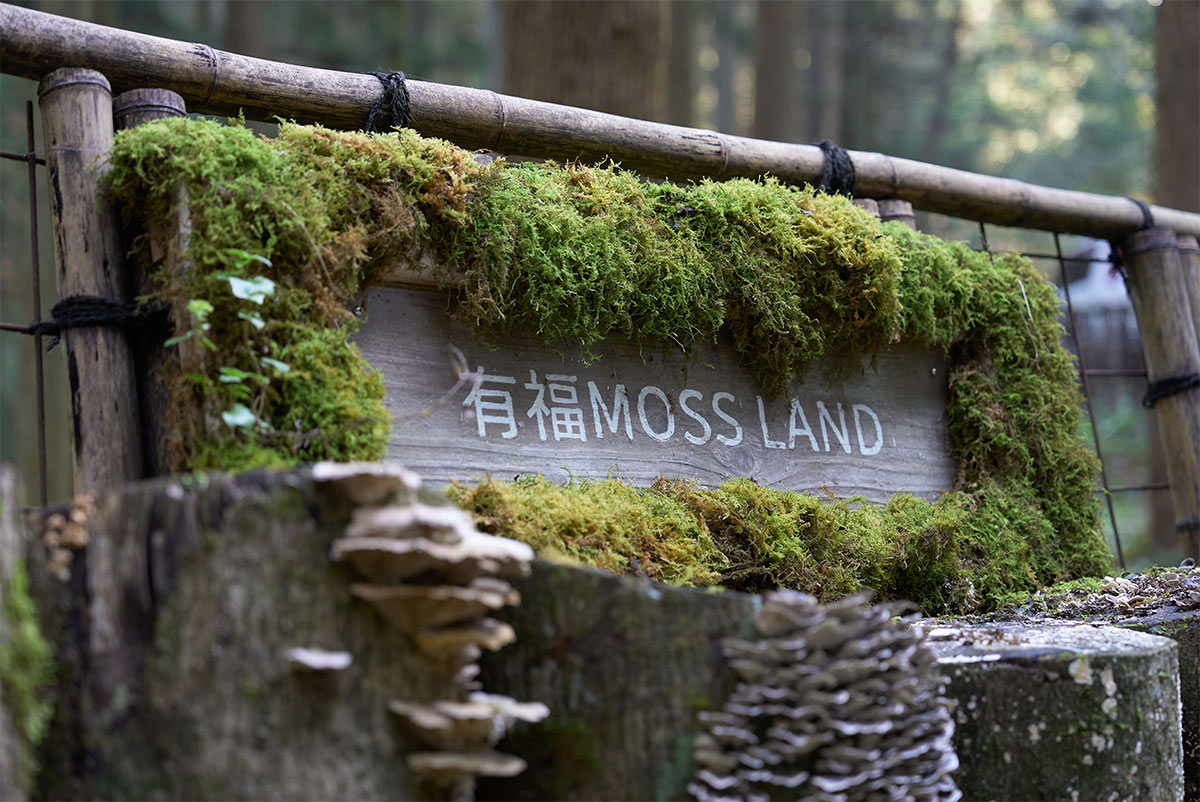 有福MOSS LAND